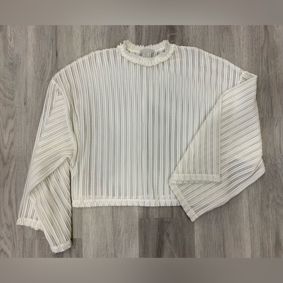 Zara Sheer Pleated Top - Picture 1 of 2